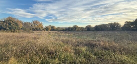 Terrain à bâtir à Garrigues-Sainte-Eulalie, Occitanie