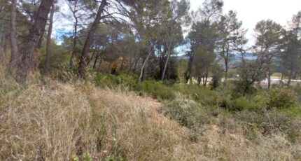 Salernes Terrain à bâtir - 2472884-11157annonce420260331rOeAO.jpeg Maisons France Confort