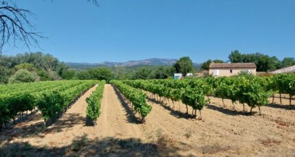 Cogolin Maison neuve - 2472902-11157annonce1202603310BBI6.jpeg Maisons France Confort