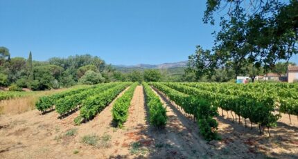 Cogolin Maison neuve - 2472902-11157annonce220260331X4nAq.jpeg Maisons France Confort