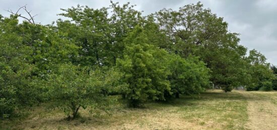 Terrain à bâtir à Sorigny, Centre-Val de Loire