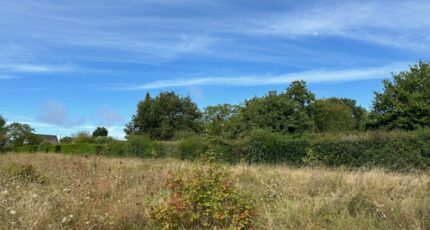 Cinq-Mars-la-Pile Maison neuve - 2441310-10341annonce120260225vqsbN.jpeg Maisons France Confort