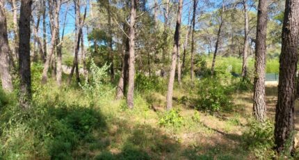 Bagnols-en-Forêt Maison neuve - 2385030-11157annonce420260107uNh4H.jpeg Maisons France Confort