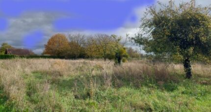Égreville Terrain à bâtir - 2387806-4684annonce120260109npAz7.jpeg Maisons France Confort