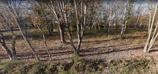 Terrain à bâtir à Montesquieu-Volvestre, Occitanie