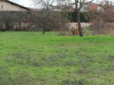 Terrain à bâtir à Frouzins (31270) 2391762-10326annonce120260113FCzKq.jpeg Maisons France Confort
