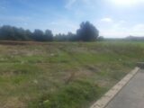 Maison à construire à Castelginest (31780) 2394617-5202annonce1202601153BmMT.jpeg Maisons France Confort