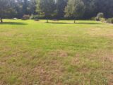 Terrain à bâtir à Brax (31490) 2394090-3575annonce220260115F4aQG.jpeg Maisons France Confort