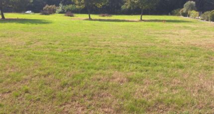 Brax Terrain à bâtir - 2394090-3575annonce220260115F4aQG.jpeg Maisons France Confort