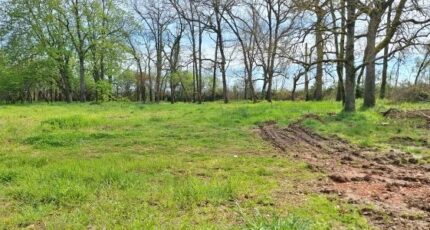 Léguevin Terrain à bâtir - 2395529-9555annonce220260116z3nMg.jpeg Maisons France Confort