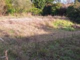 Terrain à bâtir à Tournefeuille (31170) 2395224-9555annonce120260116aAhAg.jpeg Maisons France Confort