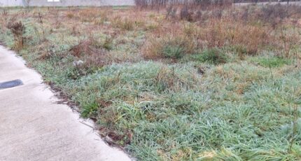 Plaisance-du-Touch Maison neuve - 2395418-9555annonce120260116lHkh7.jpeg Maisons France Confort