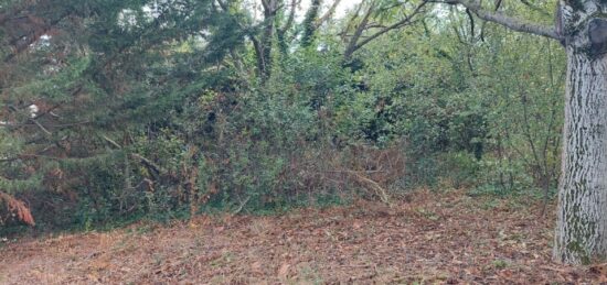 Terrain à bâtir à Beaupuy, Occitanie