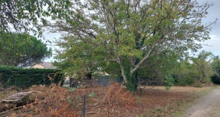 Beaupuy Terrain à bâtir - 2395955-5604annonce520260116lVE31.jpeg Maisons France Confort