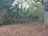Maison à construire à Beaupuy (31850) 2395973-5604annonce120260116Pbkuv.jpeg Maisons France Confort