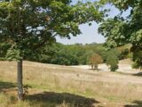 Maison à construire à Vigoulet-Auzil (31320) 2396059-5771annonce120260116ckTUL.jpeg Maisons France Confort