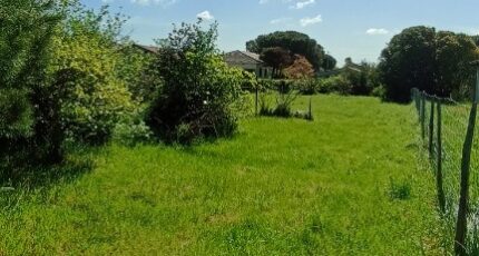 Plaisance-du-Touch Maison neuve - 2399752-10327annonce120260120FFVQy.jpeg Maisons France Confort