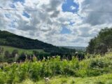 Terrain à bâtir à Reilhac (15250) 2400857-3828annonce220251117FJLHg.jpeg Maisons France Confort