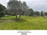 Terrain à bâtir à Roquebrune-sur-Argens (83520) 2401607-3951annonce320260122bRdgl.jpeg Maisons France Confort