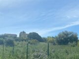 Terrain à bâtir à Quarante (34310) 2401709-11018annonce220250930QLMT5.jpeg Maisons France Confort