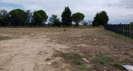 Marsillargues Terrain à bâtir - 2403594-11040annonce120260123PLexo.jpeg Maisons France Confort