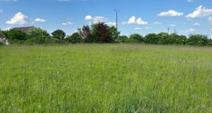 Nemours Terrain à bâtir - 2403694-11705annonce420260123psZ4r.jpeg Maisons France Confort