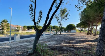 Aigues-Mortes Terrain à bâtir - 2403890-3243annonce320260123cmQmo.jpeg Maisons France Confort