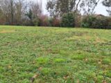 Terrain à bâtir à L’Isle-Jourdain (32600) 2403697-9555annonce120260123BnqwO.jpeg Maisons France Confort