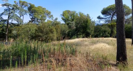 Cournonsec Terrain à bâtir - 2407038-11040annonce120260126JXaM0.jpeg Maisons France Confort