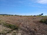 Maison à construire à Poussan (34560) 2407321-11040annonce120260126Td5rw.jpeg Maisons France Confort