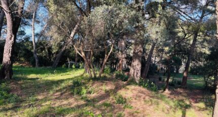 Ollioules Maison neuve - 2408215-9707annonce5202601279kaHv.jpeg Maisons France Confort