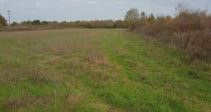 Saint-Ciers-d'Abzac Terrain à bâtir - 2408602-1686annonce120260127N6d8H.jpeg Maisons France Confort