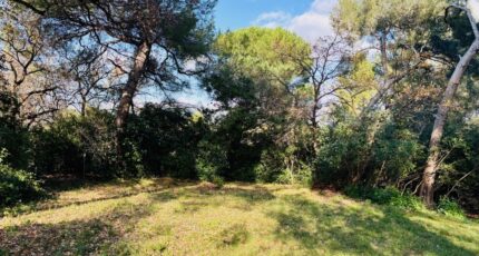 Ollioules Terrain à bâtir - 2408797-9707annonce120260127i10El.jpeg Maisons France Confort