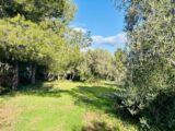 Terrain à bâtir à Ollioules (83190) 2408797-9707annonce320260127yP0kl.jpeg Maisons France Confort