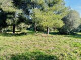 Terrain à bâtir à Ollioules (83190) 2408797-9707annonce420260127LXtO8.jpeg Maisons France Confort