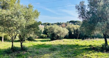 Ollioules Terrain à bâtir - 2408797-9707annonce520260127AU04m.jpeg Maisons France Confort