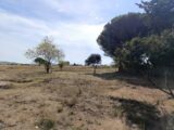 Terrain à bâtir à Poussan (34560) 2409906-3243annonce120260128K8Twy.jpeg Maisons France Confort