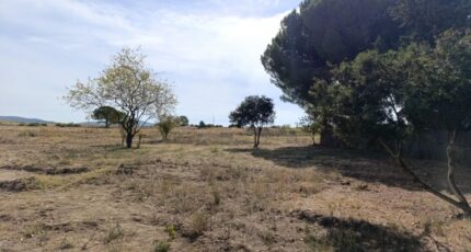Poussan Terrain à bâtir - 2409906-3243annonce120260128K8Twy.jpeg Maisons France Confort