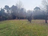 Terrain à bâtir à Montbartier (82700) 2409653-11356annonce420260128JaK9O.jpeg Maisons France Confort
