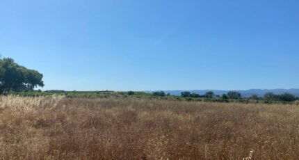 Olonzac Maison neuve - 2416497-11018annonce420260203Sl0b2.jpeg Maisons France Confort