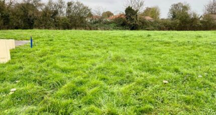 Cras-sur-Reyssouze Terrain à bâtir - 2420326-754annonce320260205hTrfQ.jpeg Maisons France Confort