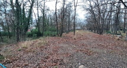 Trans-en-Provence Terrain à bâtir - 2421912-10152annonce120250120mbT2J.jpeg Maisons France Confort