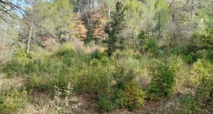 Brignoles Terrain à bâtir - 2422004-10744annonce220251001O9Oqs.jpeg Maisons France Confort