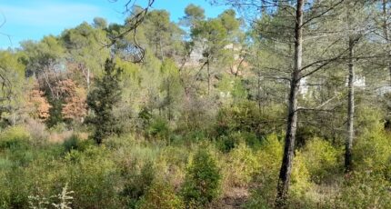 Brignoles Maison neuve - 2422014-10744annonce120251001Ipf7e.jpeg Maisons France Confort