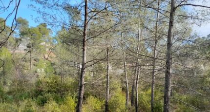 Brignoles Maison neuve - 2422014-10744annonce3202510015lUVV.jpeg Maisons France Confort