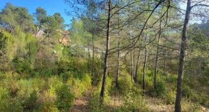 Brignoles Maison neuve - 2422014-10744annonce420251001lZ9pH.jpeg Maisons France Confort