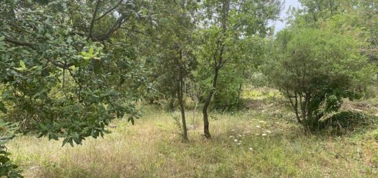 Terrain à bâtir à Carnoules, Provence-Alpes-Côte d'Azur