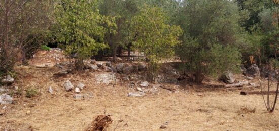 Terrain à bâtir à , Var