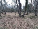 Terrain à bâtir à Trans-en-Provence (83720) 2422276-10295annonce120250519CE1wG.jpeg Maisons France Confort