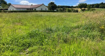 Roannes-Saint-Mary Terrain à bâtir - 2422914-3828annonce1202407055FkKL.jpeg Maisons France Confort